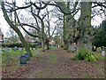 Main path, Hinderclay churchyard