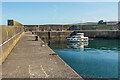 NT9267 : Harbour wall, St Abbs Harbour by Ian Capper