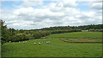SJ9314 : Staffordshire farmland near Penkridge in Staffordshire by Roger  D Kidd