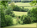 Polesden Lacey - Dry Valley