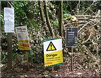 TQ1350 : Ranmore Common - Forestry Work by Colin Smith