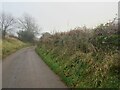 Single track road between Lundin Links and Pilmuir