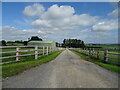 Track to Burtree House Farm