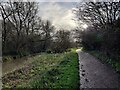 Millstream Way along the River Cole