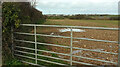 SW8058 : Field near Crantock Plains by Derek Harper