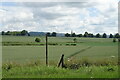 Footpath over crop field