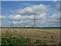 Fields and power lines near Sandhill House Farm