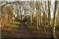 A path in Toton Fields Nature Reserve