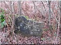 Old Boundary Marker on Treslea Downs