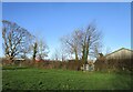 Grass field and gate, Bathley