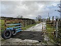 Cattle grid