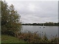 TL0749 : Priory Lake, Priory Park, Bedford by PAUL FARMER