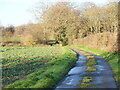 Looking down Church lane