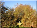 Stile on a footpath, Bathley