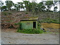 Shed in Scawling Wood