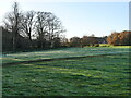 Grassland seen from Churchyard