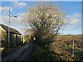 Lane near Thorntonhall