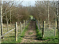 Public footpath towards Bourne Lane