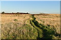 TR2838 : England Coast Path by N Chadwick