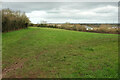 Field near Great Stoke