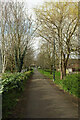 Footpath, Trevelyan Walk