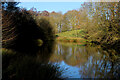 Small Lake below Cleaves Wood