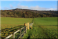 Bridleway heading in the Direction of Butter Dale