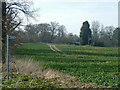 Field near Bromley Hall Farm