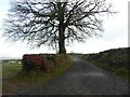 Track (right of way) to Burnt Plantation on Bampton Down