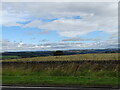 Roadside view south of Castleside