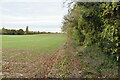 Footpath along field boundary