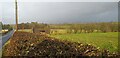 Derelict shed near Cumnock