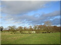 Gate on a footpath from Long Bennington to Dry Doddington