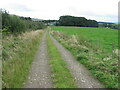 Track from Glenwharrie to Kirkland