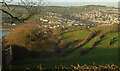 Field above Shaldon