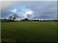 Fields north of Nerston