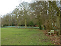 Edge of cricket ground, Little Baddow