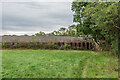 Railway near Beare Green