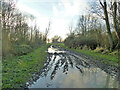 Wet and muddy farm track, Little Baddow