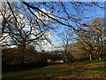 View from Maryon Wilson Park