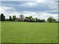 Grazing towards Stone Field House Farm