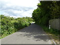 Lane near Bogg Hall