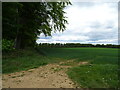 Cereal crop beside Jackson