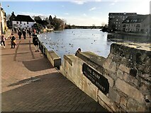 TL3171 : The Quay and The River Great Ouse in St Ives, Cambridgeshire by Richard Humphrey
