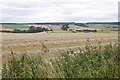 Barley harvest, Aberuthven