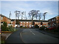 Houses on Wyke Way