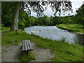 Bench by the river Don, Seaton Park