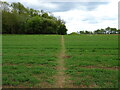 Footpath towards Brow Wood