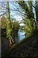 Upstream along the Nidd