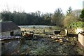 Cattle enclosed near Waterside